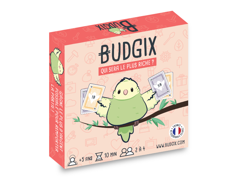 BUDGIX - Le Jeu de Cartes Educatif pour aborder le thème de l'argent avec  les enfants